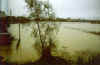 CastagnetoPo215102000h16daSS590ved.suChivasso.jpg (31221 byte)