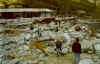 Locana 19 17102000 fraz.Rosone laPiazza.jpg (40416 byte)