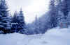Ceresole-Reale_a_16-02-02.jpg (54529 byte)