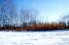 Prati-villanova-22-12-2001.jpg (57184 byte)