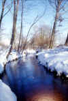 Rio-Ronello-2-Prati-villano.jpg (63104 byte)