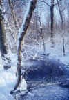 Rio-Ronello-Prati-villanova.jpg (83936 byte)