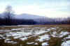 disgelo_20-01-02.jpg (53167 byte)