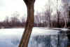lago-salmerini-villanova_20.jpg (53530 byte)