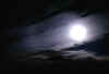 stratocumuli_becca-d'aver_1.jpg (19701 byte)