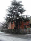 to_06-02-02_a.jpg (96704 byte)