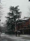 to_06-02-02_b.jpg (87486 byte)