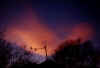 tramonto-prati_24-12-01.jpg (29168 byte)