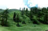 claviere.JPG (65544 byte)