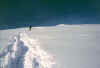PuntaCia_b_91103.jpg (60260 byte)