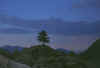 Tramonto-vasinetto_100803.jpg (58052 byte)