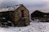 alpe prafiorito_14-11-98.jpg (81522 byte)