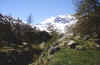 ceresole_contrasti_19-05-01.jpg (55179 byte)