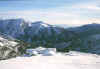 cimatestona_a_A261203.jpg (90305 byte)