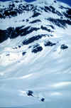 collenivolet_13-05-01.jpg (54855 byte)