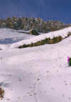 puntacia_a_091103.jpg (73456 byte)