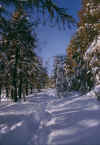 puntacia_b_091103.jpg (128386 byte)