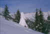 puntacia_c_091103.jpg (89928 byte)