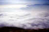 stau_quinzeina_08-12-01_a.jpg (25547 byte)