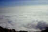 stau_quinzeina_08-12-01_b.jpg (20064 byte)