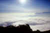 stau_quinzeina_08-12-01_d.jpg (23064 byte)