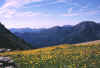 Vallone-unghiasse-b_220603.jpg (189702 byte)