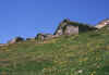 alpe-becco-degli-uccelli_22.jpg (210930 byte)