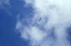 aquila corno bianco_01-11-01.jpg (7354 byte)