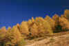 autunnograuson_a_121003.jpg (168943 byte)