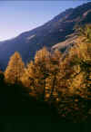 autunnograuson_b_121003.jpg (113800 byte)