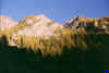 autunnograuson_c_121003.jpg (84212 byte)