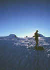 col-lys_a_030803.jpg (63467 byte)