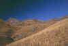 grausonafghano_121003.jpg (138663 byte)
