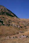 grausonvieux_b_121003.jpg (179286 byte)