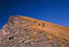 leppecrestaNE_121003.jpg (188805 byte)