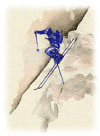 sciripido.gif (43278 byte)